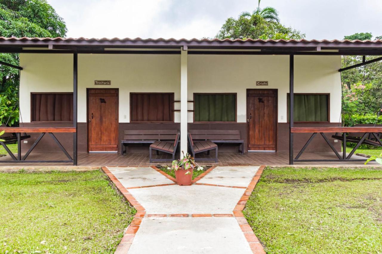 La Anita Rain Forest Colonia Dos Ríos Zewnętrze zdjęcie