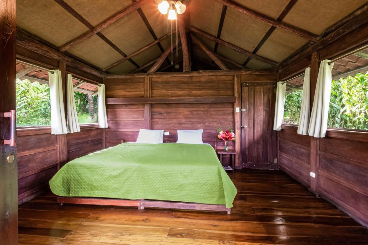 La Anita Rain Forest Colonia Dos Ríos Zewnętrze zdjęcie