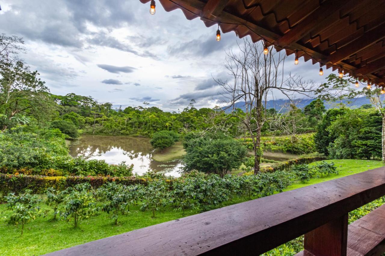 La Anita Rain Forest Colonia Dos Ríos Zewnętrze zdjęcie