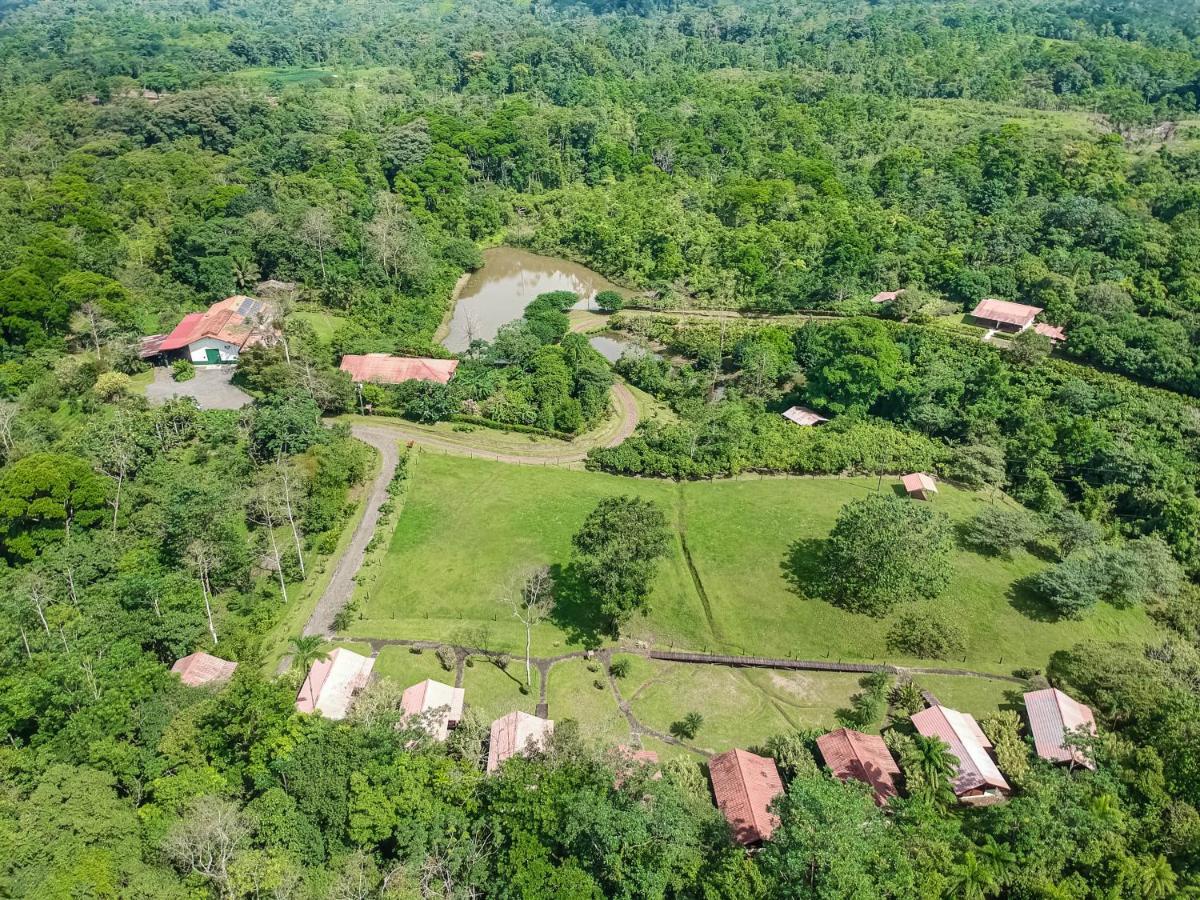 La Anita Rain Forest Colonia Dos Ríos Zewnętrze zdjęcie