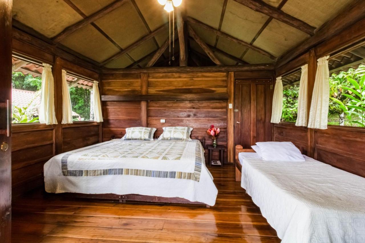 La Anita Rain Forest Colonia Dos Ríos Zewnętrze zdjęcie