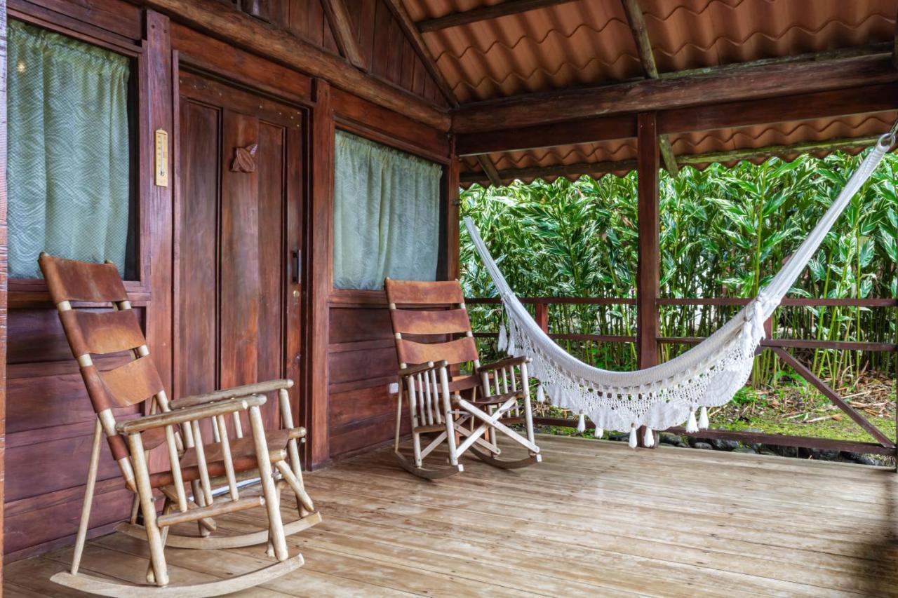La Anita Rain Forest Colonia Dos Ríos Zewnętrze zdjęcie