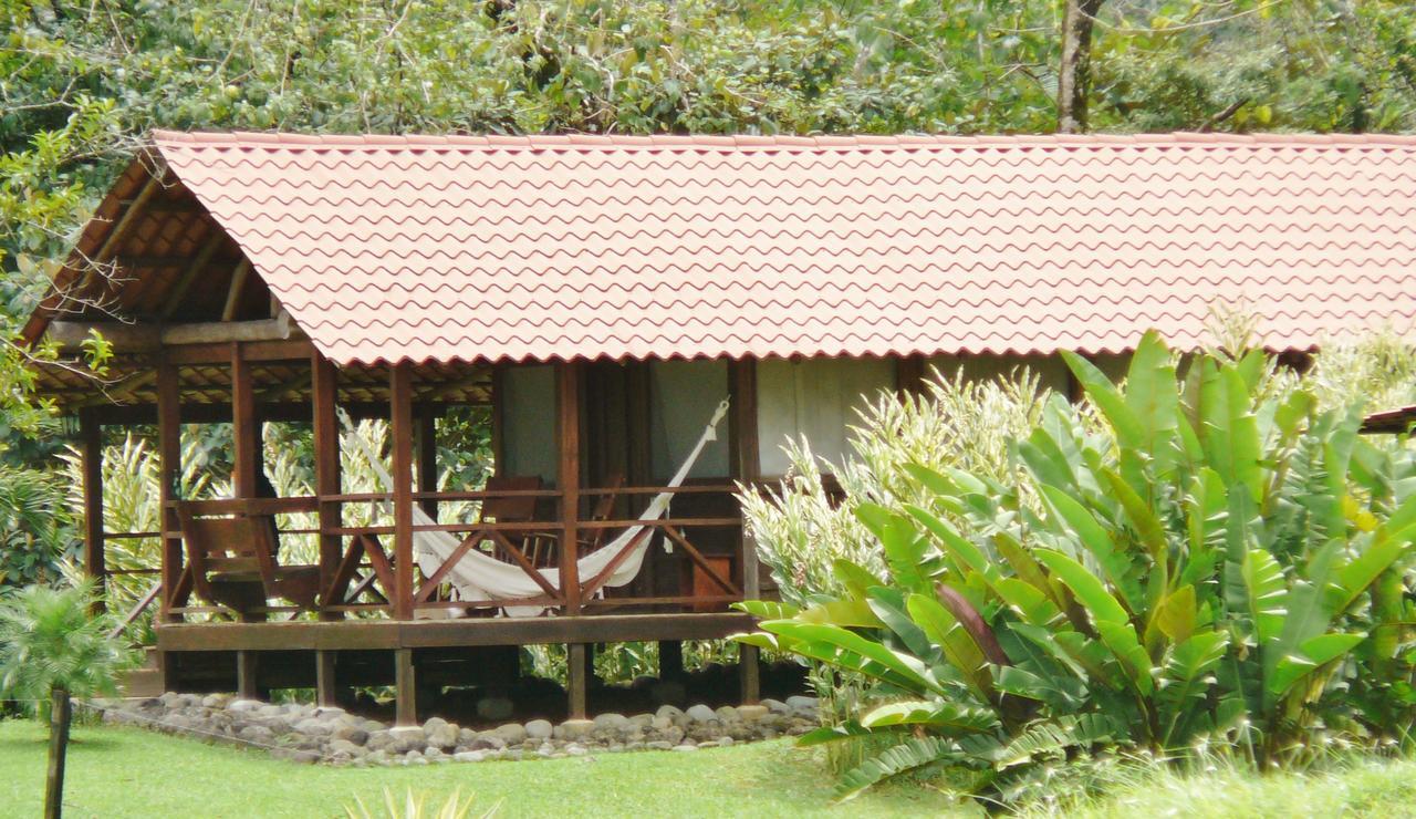 La Anita Rain Forest Colonia Dos Ríos Zewnętrze zdjęcie