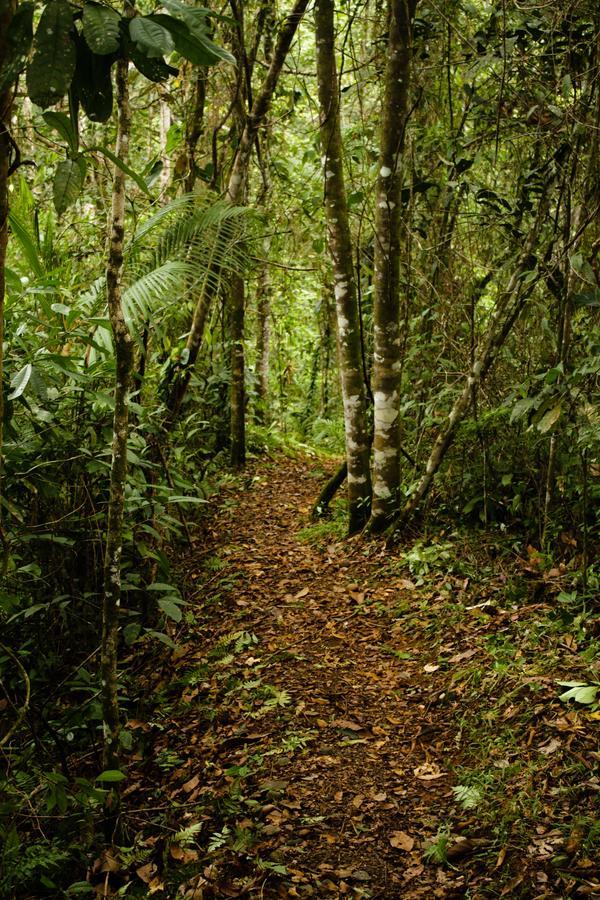 La Anita Rain Forest Colonia Dos Ríos Zewnętrze zdjęcie