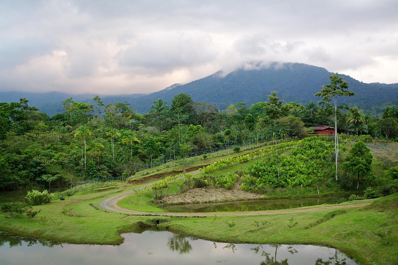 La Anita Rain Forest Colonia Dos Ríos Zewnętrze zdjęcie