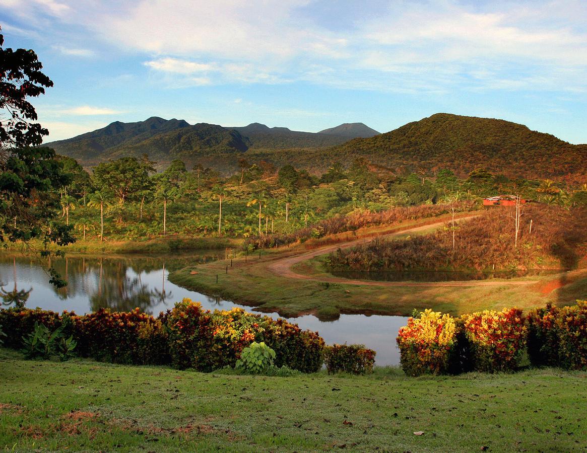 La Anita Rain Forest Colonia Dos Ríos Zewnętrze zdjęcie