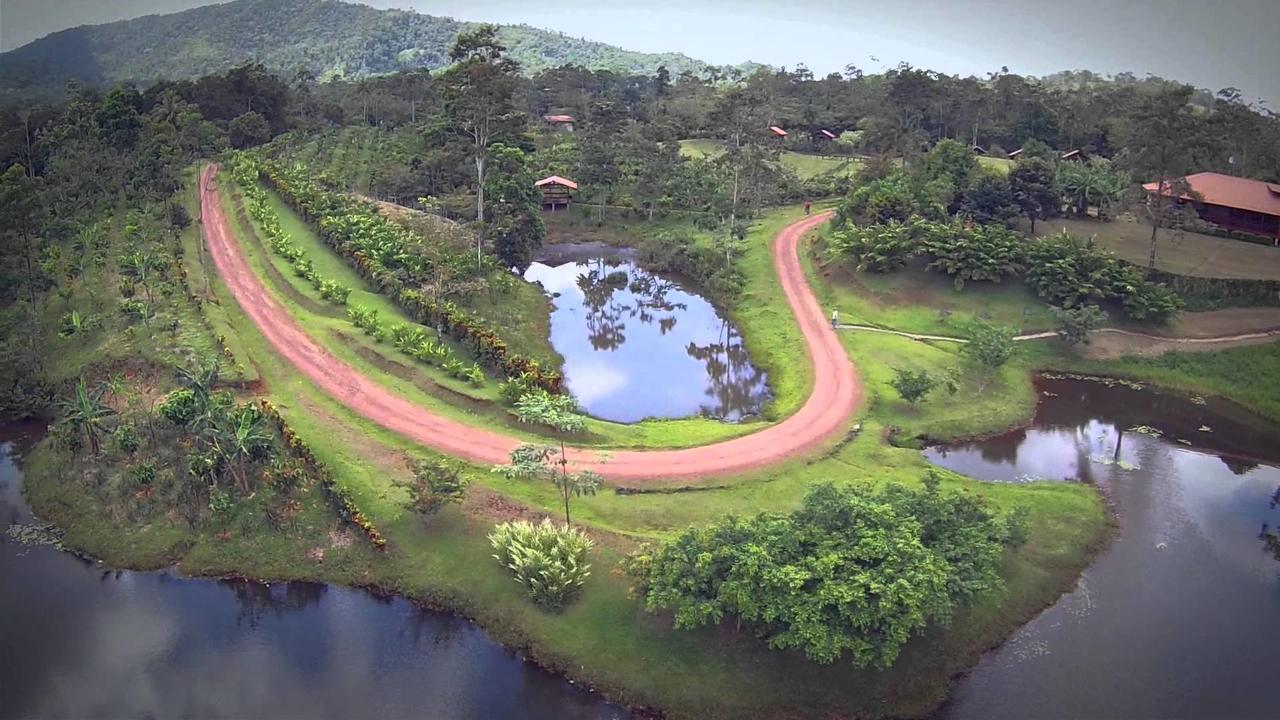 La Anita Rain Forest Colonia Dos Ríos Zewnętrze zdjęcie
