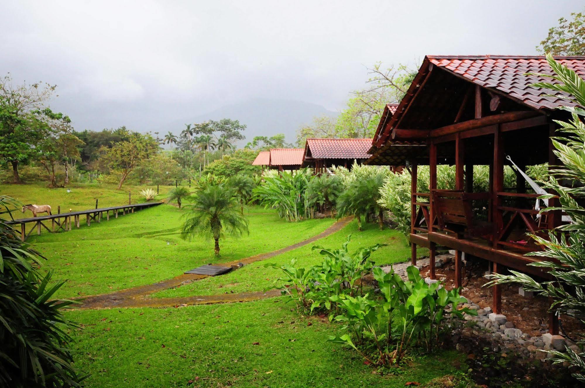 La Anita Rain Forest Colonia Dos Ríos Zewnętrze zdjęcie