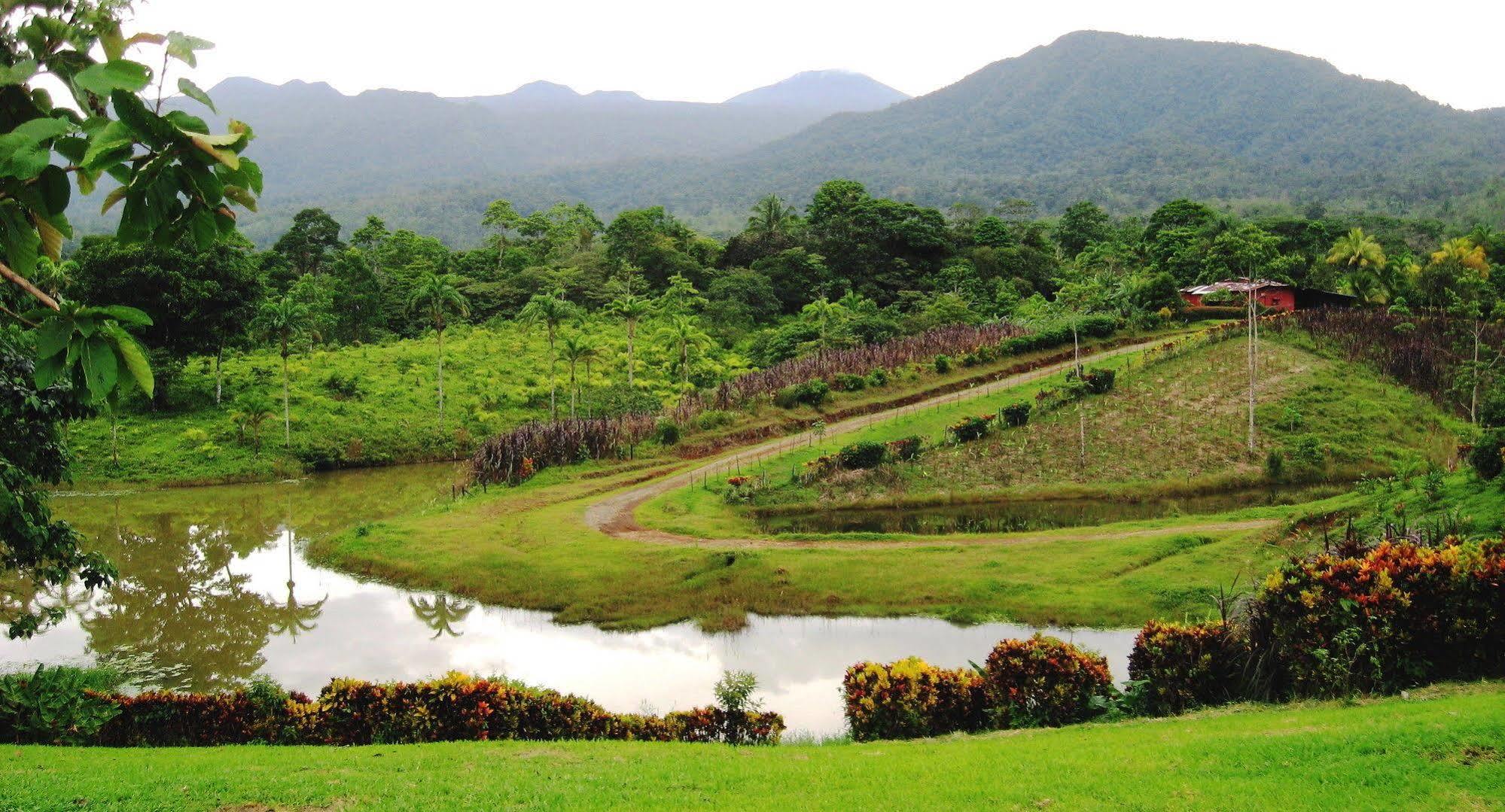La Anita Rain Forest Colonia Dos Ríos Zewnętrze zdjęcie