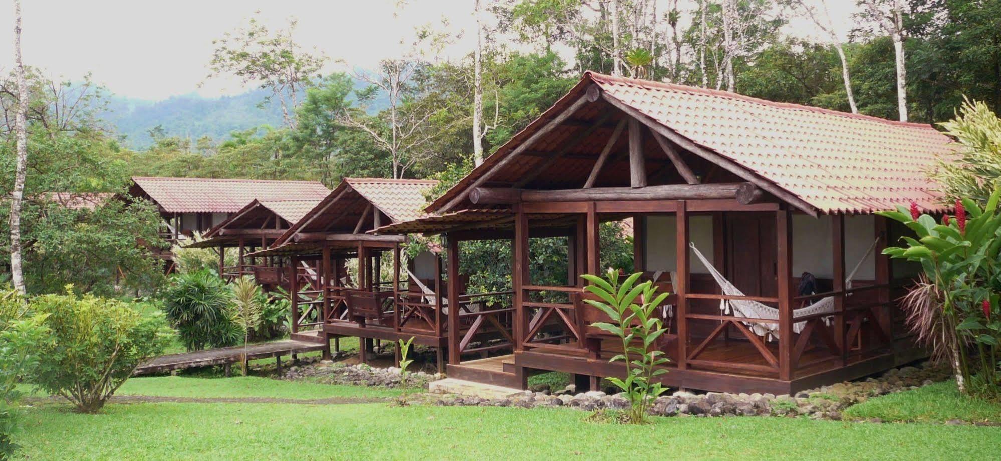La Anita Rain Forest Colonia Dos Ríos Zewnętrze zdjęcie